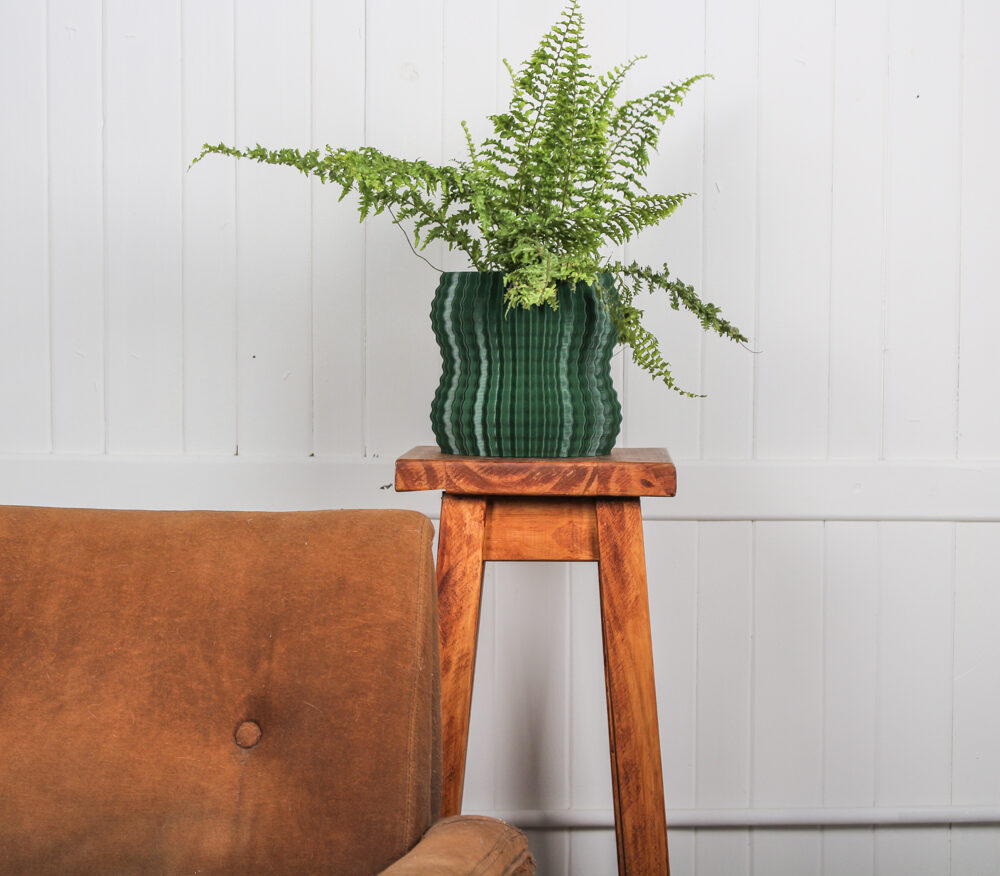 Cacto Flowerpot 2
